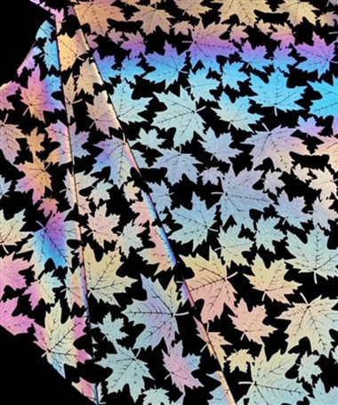 Разница между люминесценцией, флуоресценцией и отражением