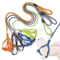 반사 애완견 가죽끈