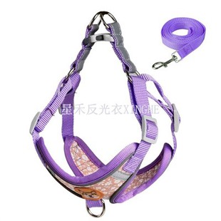 Biztonsági fényvisszaverő hevederes kutya